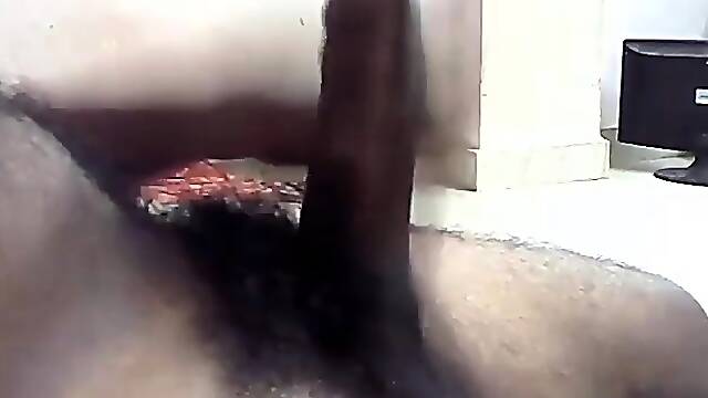 Beautiful Indian Telugu Cock