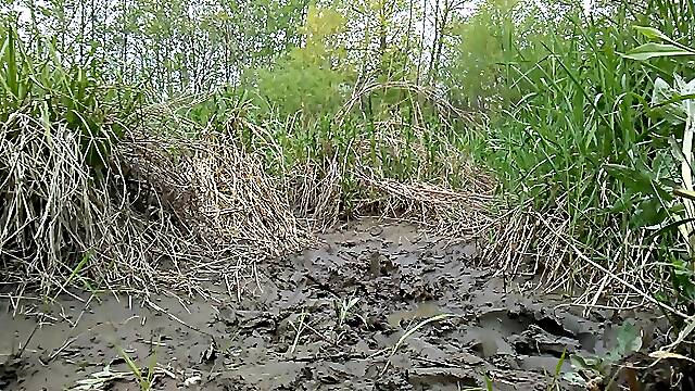 HOT MUD BATH