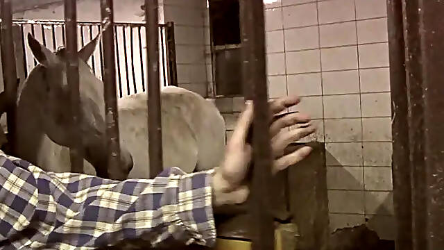 Riding the Storm of Desire