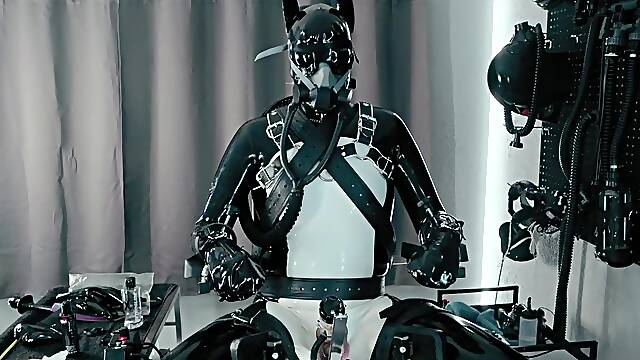 RUBBER PUP FASTENED [PP TRAINING]