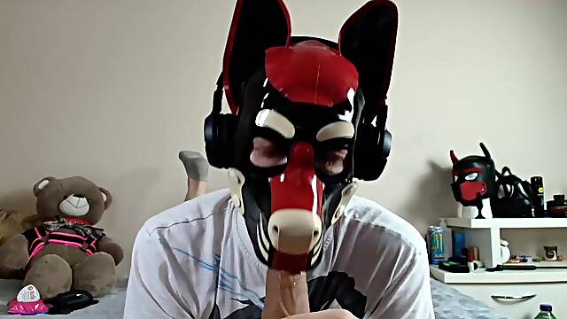 Latex puppy sucks his rubber bone. See the full on my Fancentro