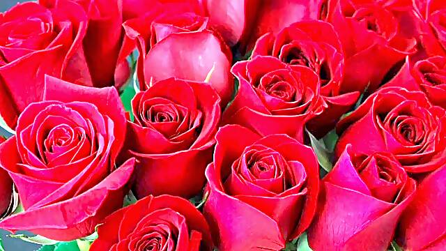 Bangla choto golpo wondrous mature mother hotwife hasband full story in Bangla audio choto golpo Bangla choti