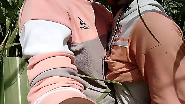 Indian Boy Coming Desi Marriage Sugarcane Field woods Outdoors homo vid In Hindi Part -2