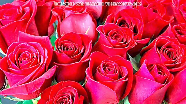 Bangla choto golpo fantastic mature mother cheating hasband utter Bangla choti golpo