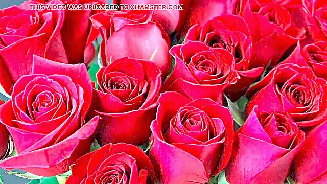 Bangla choto golpo wonderful mature mom cheating hasband total story in Bangla audio choto golpo Bangla audio story