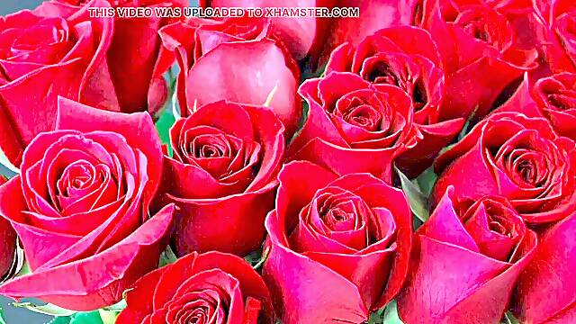 Bangla choto golpo cool mature saree chachi hotwife hasband utter story in Bangla audio choto golpo new full Bangla choti