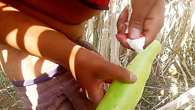 Ass porked with gourd in sugarcane area. Big caboose