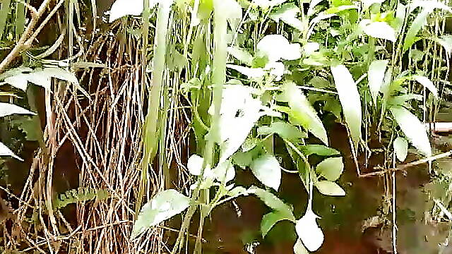 Australian rittu xxx in INDIA PORN CLUB FUCKED ASS