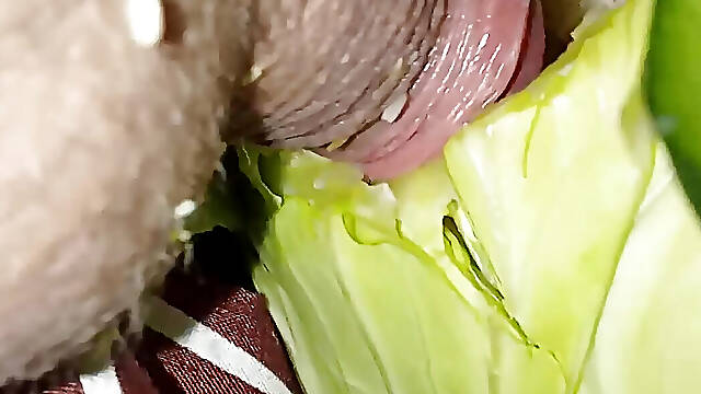 Fucking a cabbage and a cucumber at the same time