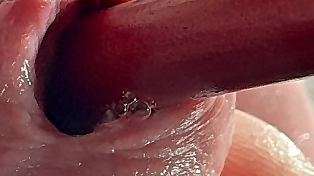 Satisfying cock from the inside