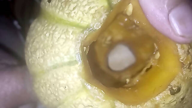 Cum into melon
