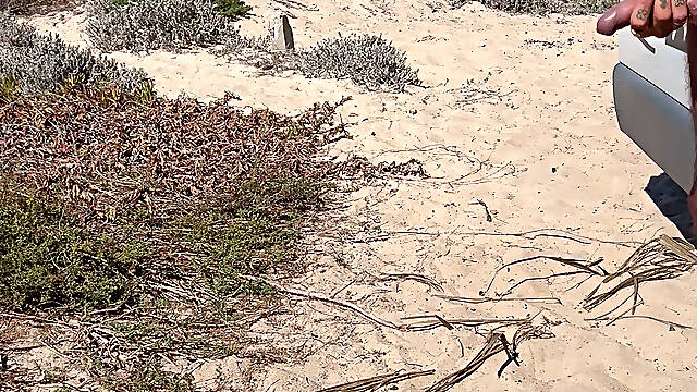 Arrived on the beach