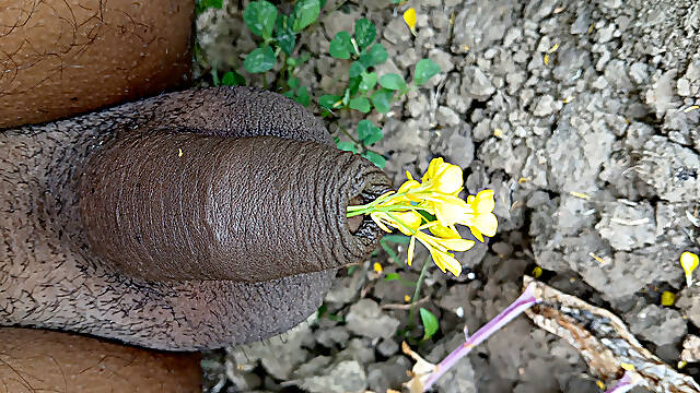 Christmas ke din wife ko jungle me choda