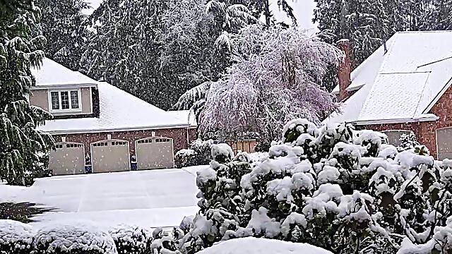 Front Door Snow