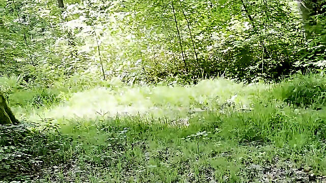 Hot Break in the Forest
