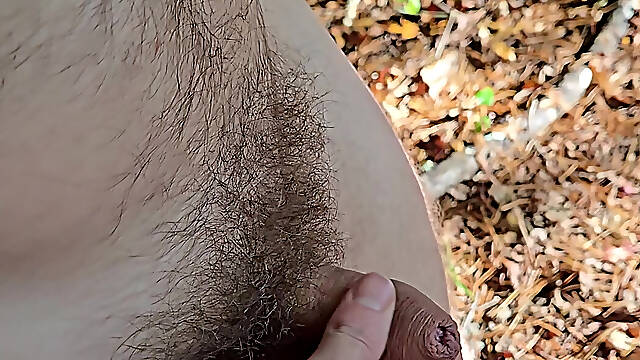 Naked quick cum on log seat while hiking along a wooded trail in public