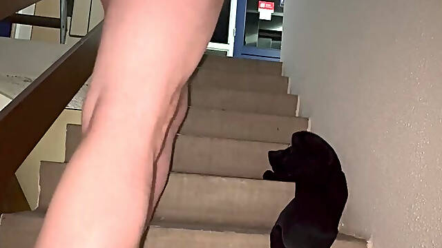 On the stairs