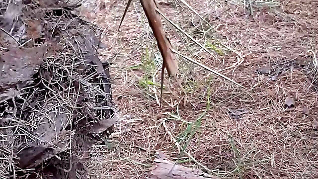 Pee in the park with my whole cock