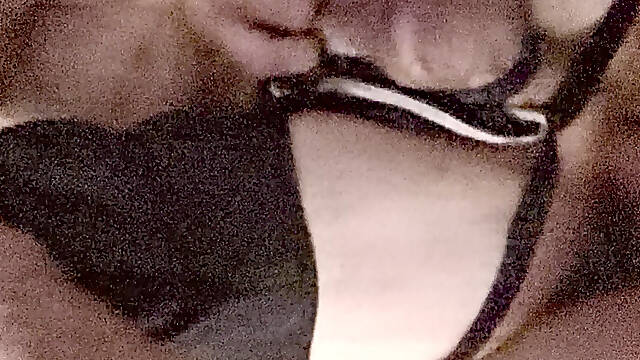 Gear playing pig sex