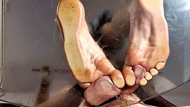 Cock Trampling On A Glass Table HD